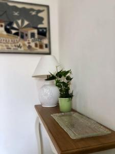 Villa le Bougainvillea img22