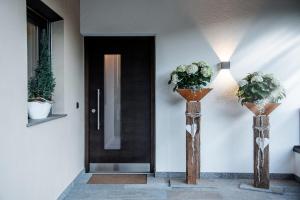 Apartment Schifta