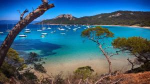 B&B / Chambres d'hotes Les Pieds dans l'Eau : photos des chambres
