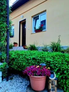 Rekreačný domček Judka - 德丁基