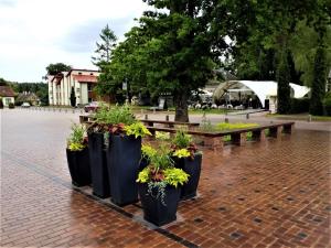 Beautiful Apartment in the heart of Birstonas