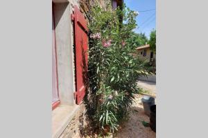 La Rustique, maison de charme proche Carcassonne - jardin, wifi, tout équipée