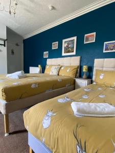 King Room / Family Room  room in No 29 Bed and Breakfast