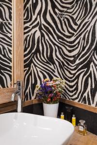 Colosseum cozy apartment