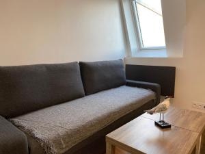 Centre ville Granville à 50m de la mer - ANCV accepté