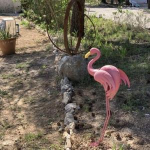 Maisons d'hotes La Margottiere chez isa et titi : photos des chambres