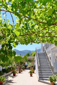 Villa Romantika Thassos Greece