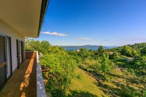 House Vicky 