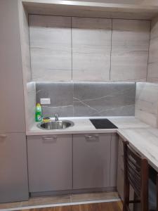 Apartmani President Kop