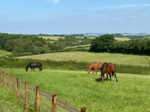 Glebe Barn, Little Glebe Farm - Great Rissington