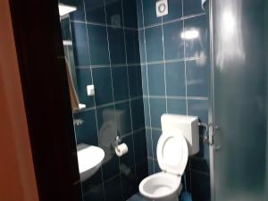 Pensiunea Cionca str 1 Decembrie 1918 nr 466
