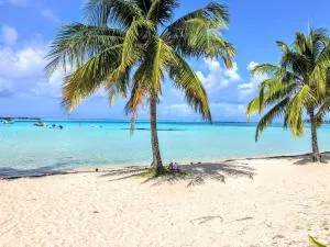 MOOREA - Tropical Soul - Paeau