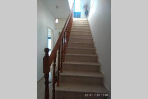 Blue Velvet apartment