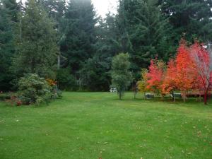 Cabaña La Cumeleña