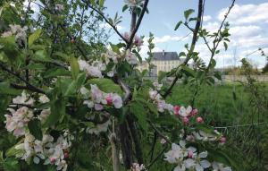 Maisons de vacances Amazing home in Bourgueil with 4 Bedrooms, WiFi and Outdoor swimming pool : photos des chambres