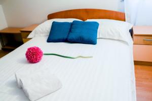 Zadar, The Florens Residence - Apartments near the Beach with the New Pool & Garden, BBQ and Kids playground