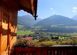 Panorama Ferienhaus Ematberg mit Bergblick und Sauna - 尼德恩西尔