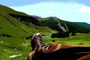 Appartements La Foux d'Allos Vacances nature Espace Lumiere : photos des chambres