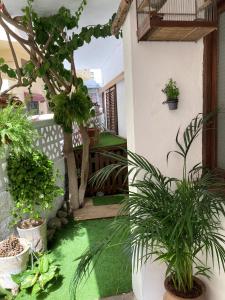 Studio at El Medano 75 m away from the beach with wifi
