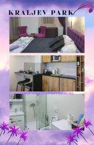 VMAKS Apartman - Kraljev park