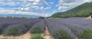 Maisons de vacances La maison dans l’Olivette : photos des chambres