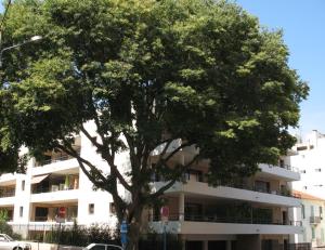 Appartements Spacious Luxury apt, 12 min walk to Croisette beach and Conf Centre : photos des chambres