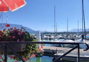 Appartements Studio moderne et lumineux centre ville Aix les Bains : photos des chambres