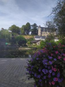 Maisons d'hotes LA BELLE ETOILE : photos des chambres