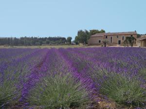 B&B / Chambres d'hotes Mas Des Fugueyrolles : photos des chambres