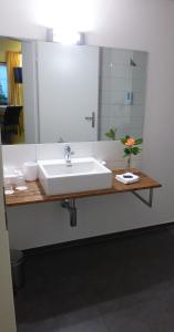 Double Room room in Gasthof Bären