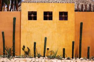 One Love Hostal Puerto Escondido