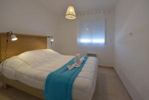 Appartements Residence Marina di Bravone - appartement 6 personnes (5 adultes max.) 1er etage N152 : photos des chambres