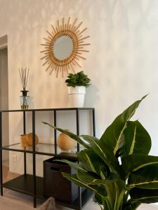 Appartement aux pieds du Palais des Papes.