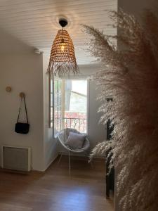 Appartement aux pieds du Palais des Papes.