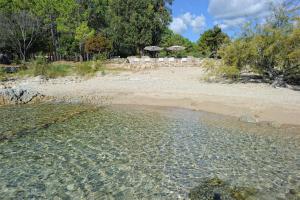 Domaine de Pianiccia photo 15