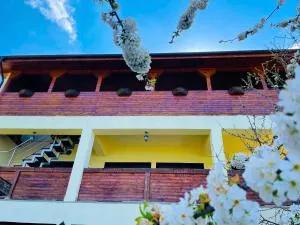 Casa Camelia - Donji Milanovac