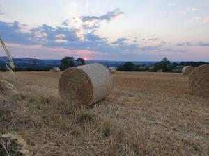 B&B / Chambres d'hotes ROUET-NATURE.FR - Chambre d'hotes Champetre : photos des chambres