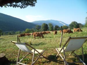 La roulotte de La Buissonnière