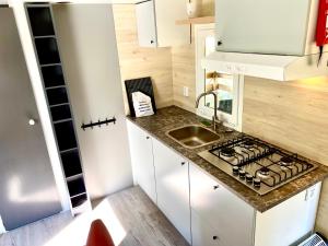 Holidaychalets Zuidlaren Tynaarlo