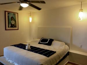 Penthouse VLM Gran Terraza 200 metros vista inmejorable piscina gigante