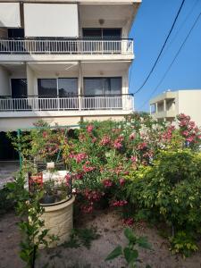 agia marina riviera aigina