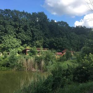 Pensiunea VisAventura