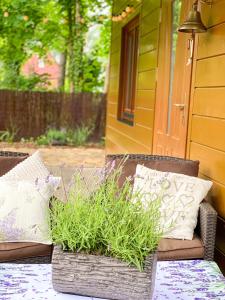 Lawendula domek nad Miedwiem