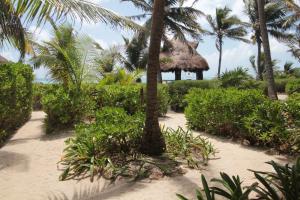 Sol Caribe