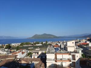 ΖΑΡΙΦΗ ΣΤΑΜΑΤΙΝΑ Ενοικιαζόμενα Διαμερίσματα