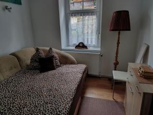 Apartamenty Złoty widok