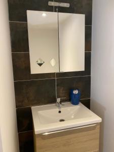 Appartements Appartement 4 personnes proche Landes et Cote Basque : photos des chambres