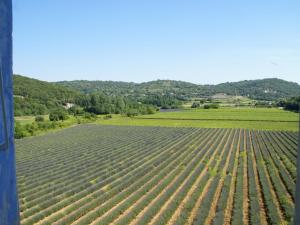 Maisons de vacances Charming Holiday Home In Montclus with Terrace : photos des chambres