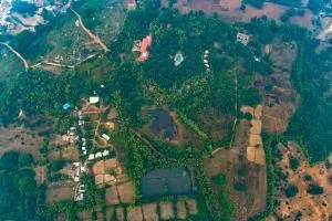 Syna Tiger Resort Bandhavgarh - Rewa