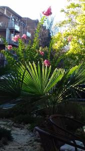 Family нouse -Нotel Asai